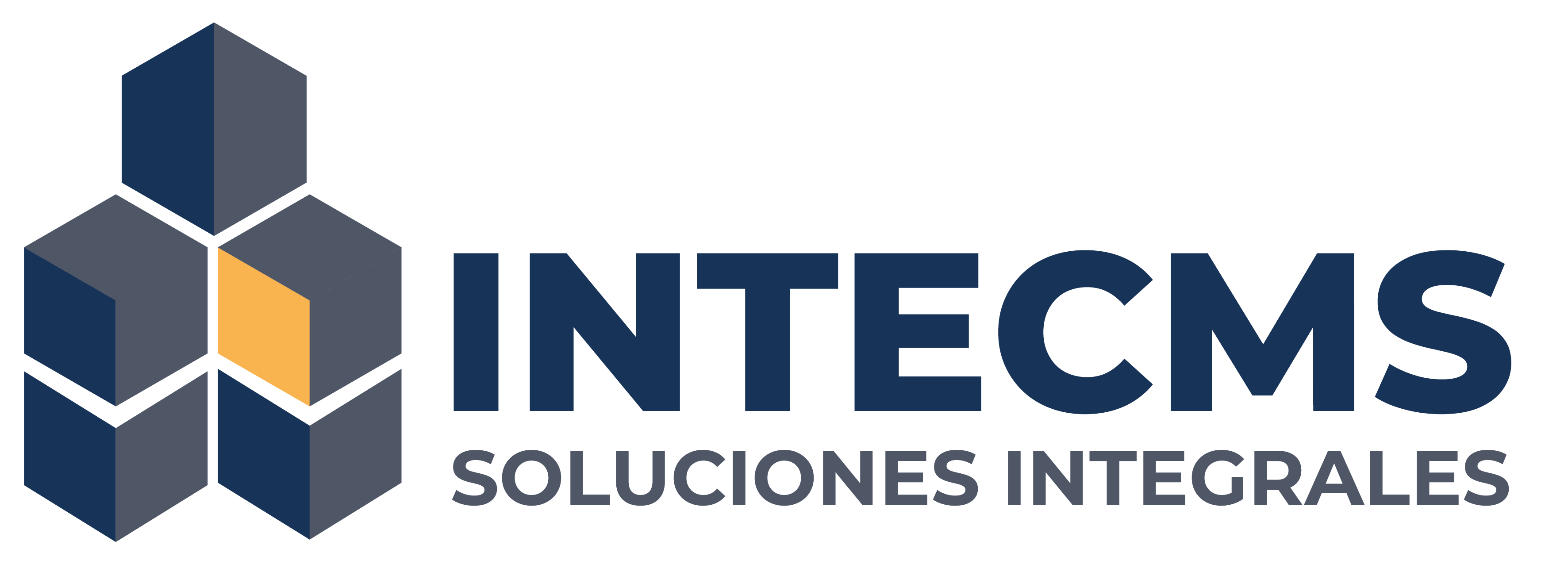 Intecms Logo